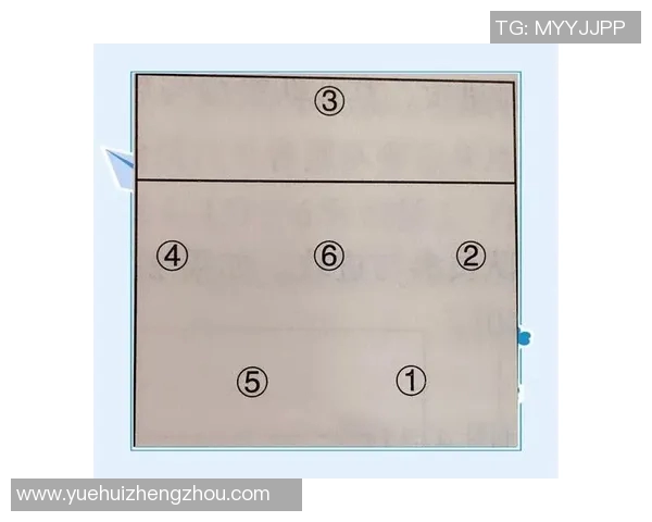 上海排球队进攻策略解析与战术创新的深度剖析