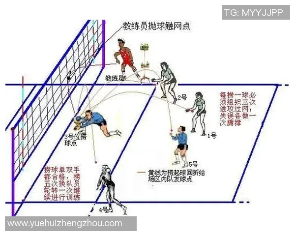 从零起步掌握排球技巧与战术全解析助你成为排球高手