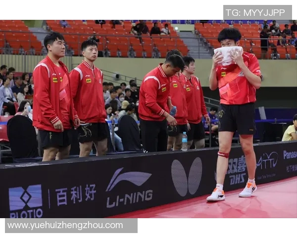 上海乒乓球队的崛起与发展探讨聚焦乒乓球的力量与未来