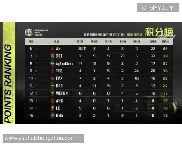 和平精英耐力排行榜揭晓RNG战队荣登第九名引发热议